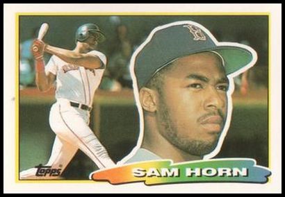 252 Sam Horn
